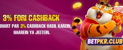 pkpakrumi.com پر خوش آمدید بونس پائیں banner